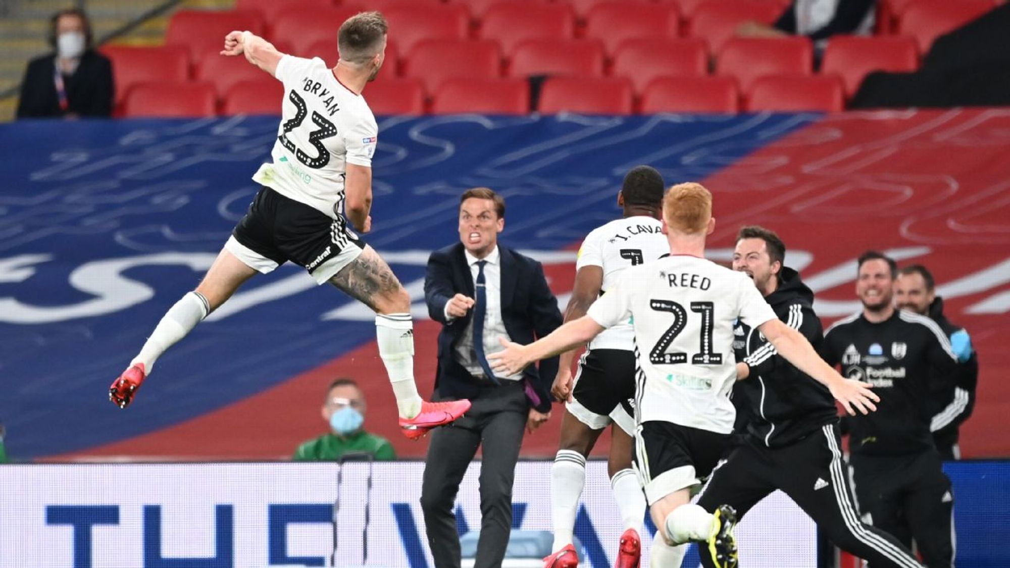 兰的缘分 兰的缘分